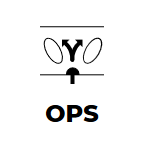 Без названия (2).png