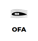 Без названия (5).png
